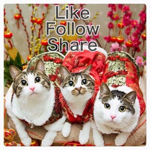 PLSE FOLLOW NEW TAGS!🦄🌸1st Follow ShareGame!🦄🌸 - Picture 4 of 8